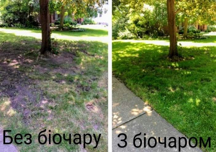 Применение Биочара