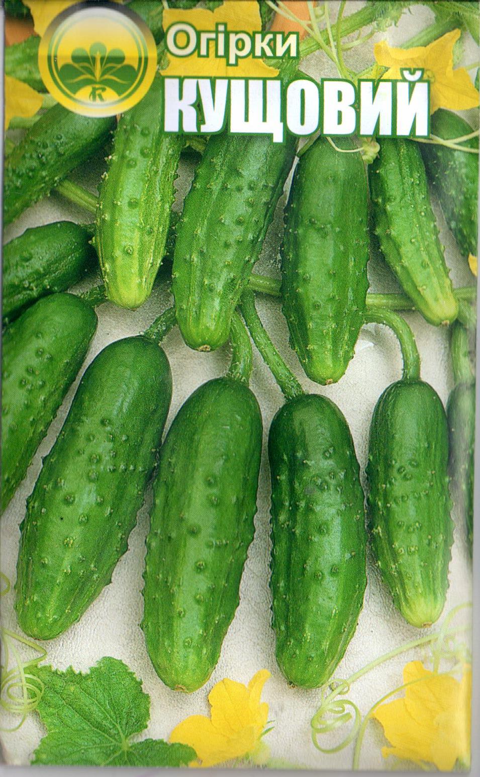 Огурец "Кустовой"