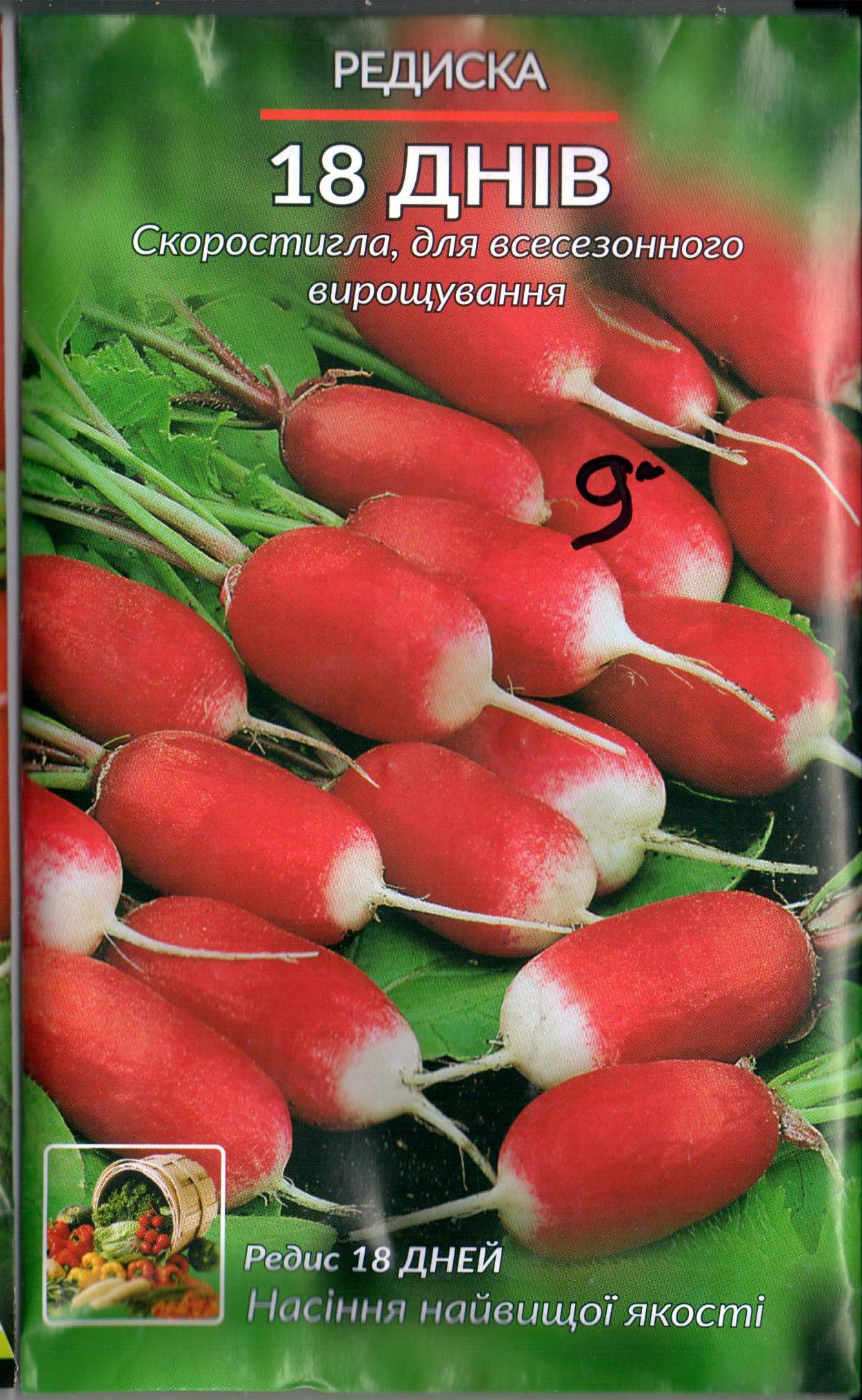 Редис "18 дней"