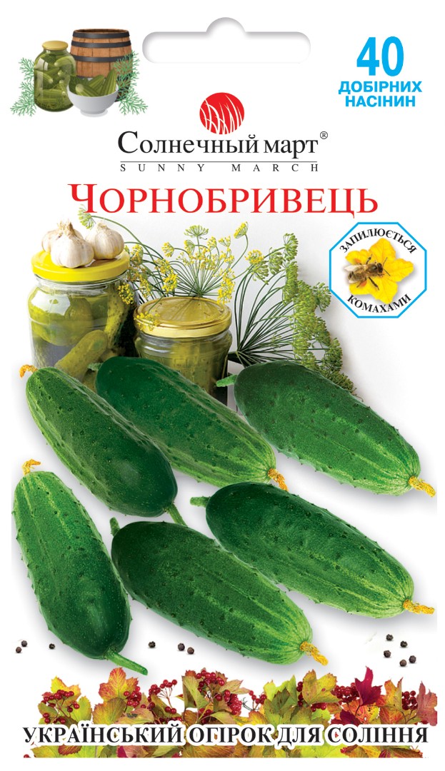 Огурец Чорнобривець 40шт