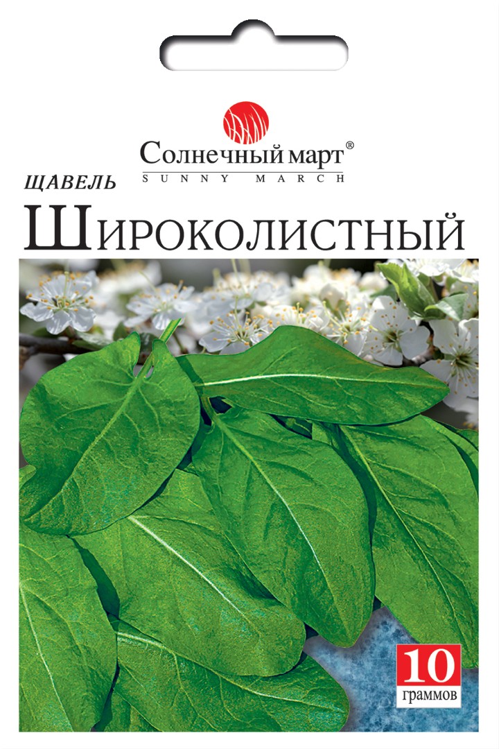 Щавель Широколистный